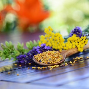 Blütenpollen